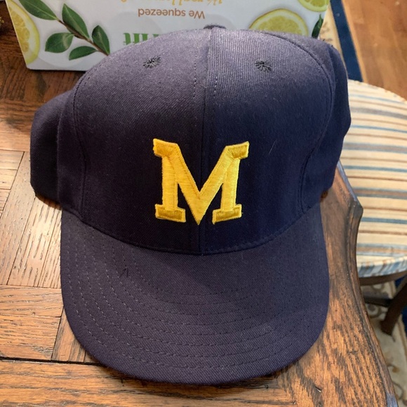Other - Vintage 1990s University of Michigan cap